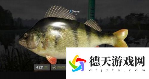 俄羅斯釣魚(yú)4官方最新版本